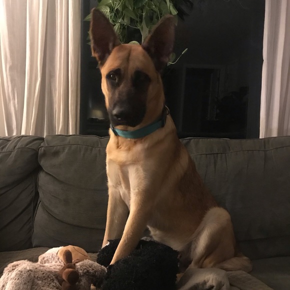 Hello! My name is Karen and I’m glad you’re here! - Picture 4 of 4